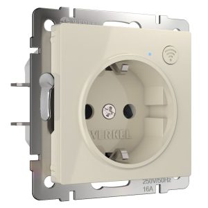Умная встраиваемая розетка Werkel с Wifi, заземлением и шторками Слоновая кость W1171603