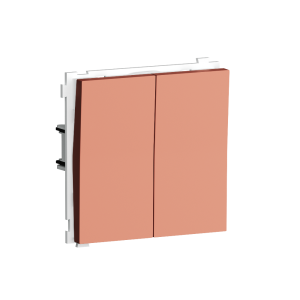 Выключатель двухклавишный встраиваемый проходной Donel R98 Коралл матовый DA10800-DA29545